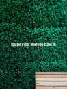 YOU ONLY LOSE WHAT YOU CLING TO Buddha quote on wooden bench backrest with green plant background Royalty Free Stock Photo