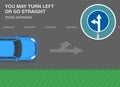 `You may turn left or go straight` road marking. Lane direction marking meaning.