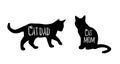 You me and the cats svg, cat svg, cat SVG Bundle, Hand drawn inspirational quotes about cats Royalty Free Stock Photo