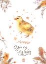 You are my baby - watercolor chicken invitation card decorated w