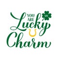 You are my lucky charm calligraphy hand lettering. Funny St. Patricks day quote typography poster. Vector template for greeting Royalty Free Stock Photo