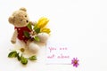 You are not alone message card handwriting with colorful flowers cosmos, ylang ylang and teddy bear Royalty Free Stock Photo