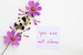 You are not alone message card handwriting with pink flowers cosmos arrangement flat lay postcard style