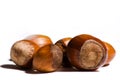 Are you nuts ? Royalty Free Stock Photo