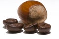 Are you nuts about coffee ? Royalty Free Stock Photo