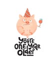 You`re one year older- funny, comical, black humor quote with angry round pig with wineglass,holiday cap. Flat textured