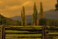 You see a rustic fence and in the background three poplars and mountains