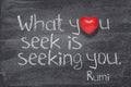 You seek Rumi