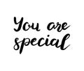 You are special text. Brush calligraphy.