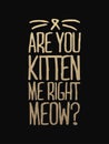 You've cat to be kitten me right meow - hand drawn dancing lettering quote isolated on the white background. Fun brush ink Royalty Free Stock Photo