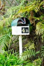 You've got mail. Mailbox mailbox letter box letterbox surrounded by green ferns with mail junk mail.