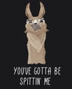 You `ve gotta be spittin ` me llama print with funny alpaca head on dark backround. Llama motivational print. Vector alpaca meme