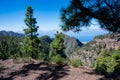 You can also hike in the south of tenerife