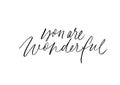 You are wonderful ink pen vector lettering
