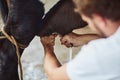 Youll find only the freshest milk here. Rearview shot of an unrecognizable male farmer milking a cow inside a barn.