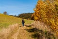 Youn woman hiking on sunny day in autumn forest, fields and meadow in bright yellow and green. Afternoon sunbeams on meadow. Warm