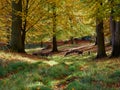 Yound deer grazing in beautiful forest