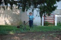 Young adolescent Amish boy mowing