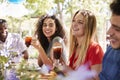 Young adult friends socialising at a table in a garden