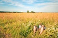 Young adult man in spring grass Royalty Free Stock Photo