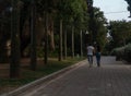 Young adult teen couple walking away from camera on green park paved alley at sunset with trees lined up, shot in Holon, Israel