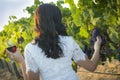 Young Adult Woman Enjoying A Glass of Wine in Vineyard Royalty Free Stock Photo