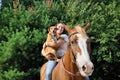 Young adult woman with her horse and dog Royalty Free Stock Photo