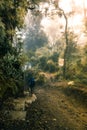 Young adult woman hiker wearing sportswear walks down a small sidewalk in the middle of a rocky trail in the cloud forest of Costa Royalty Free Stock Photo