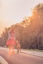 Young adult woman walking dog outdoors sunny day Royalty Free Stock Photo