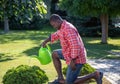 Young Afican gardener kneeling while watering bush in yard Royalty Free Stock Photo