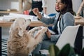 Young african american businesswoman playing with golden retriever dog in office