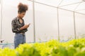 Young African American farmer worker inspects organic hydroponic plants with care and smiles happily: