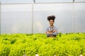 Young African American farmer worker inspects organic hydroponic plants with care and smiles happily: