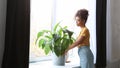 Young African American woman taking care of potted houseplant Sansevieriya Spathiphyllum