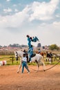 Young African children performing acrobatics on horse back