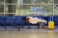 Young African passenger man sleeping under plaid waiting for flight feel cold. Long night connection Royalty Free Stock Photo