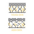 Young and aging skin cross section diagram