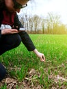 Young agriculture woman biologist inspecting the harvest sunflar