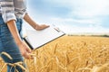 Young agronomist with clipboard in grain field