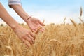 Young agronomist in grain field Royalty Free Stock Photo