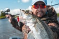 Young amateur angler holds zander fish Royalty Free Stock Photo