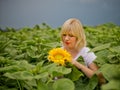 Young amazing beautiful blond girl. Royalty Free Stock Photo