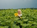 Young amazing beautiful blond girl. Royalty Free Stock Photo