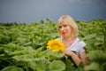 Young amazing beautiful blond girl. Royalty Free Stock Photo