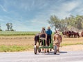 Lancaster, Pennsylvania: Young Amish boys working in the farm