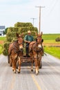 Young Amish man on a horse and carriage carrying Hay bales in Pennsylvania USA Royalty Free Stock Photo