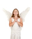 Young angel girl praying on white