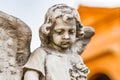 Young angel looking down Royalty Free Stock Photo