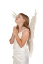 Young angel praying on white background