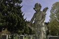 Young Angel Statue with Eyes Closed in a Cemetery Royalty Free Stock Photo